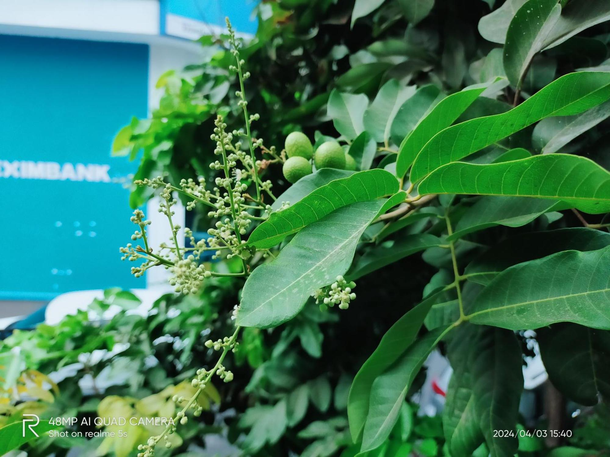 مدينة هوشي منه Shusimi House & Boutique Near Tan Son Nhat Airport المظهر الخارجي الصورة